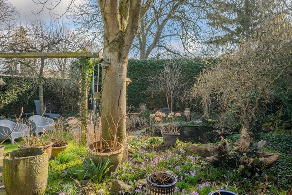 Medium property photo - Graaf de Hompeschstraat 2, 6109 AK Ohé en Laak